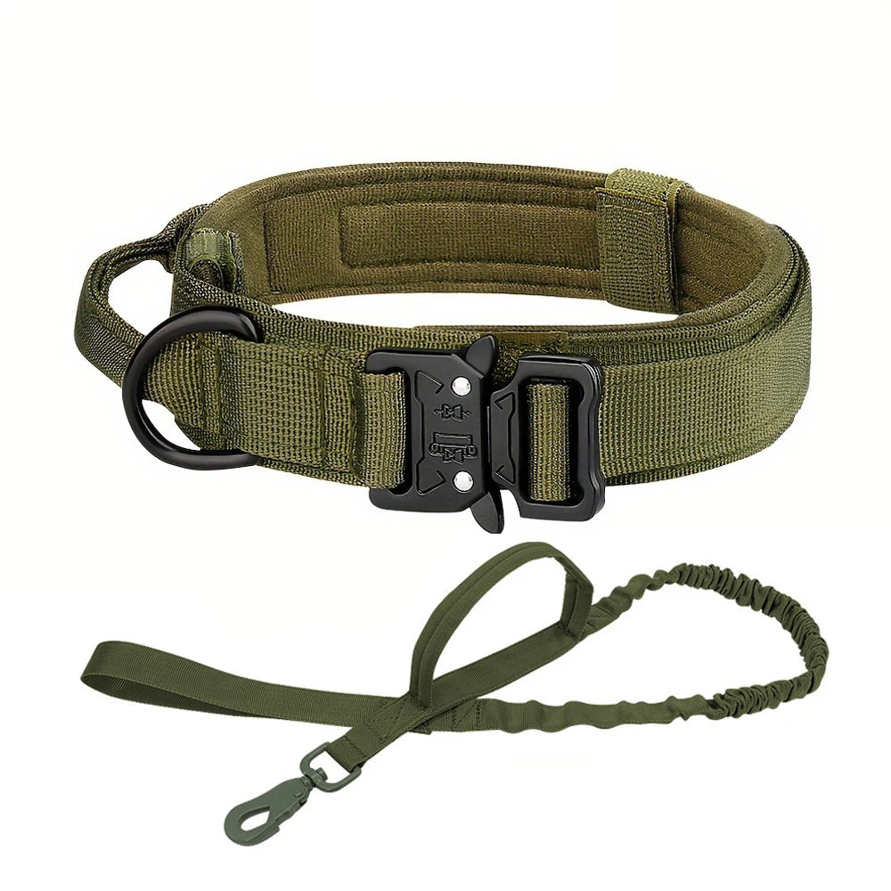 Dog Training Collar & Leash Set