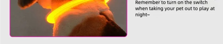 Rechargeable LED Dog Collar – Adjustable Night Safety