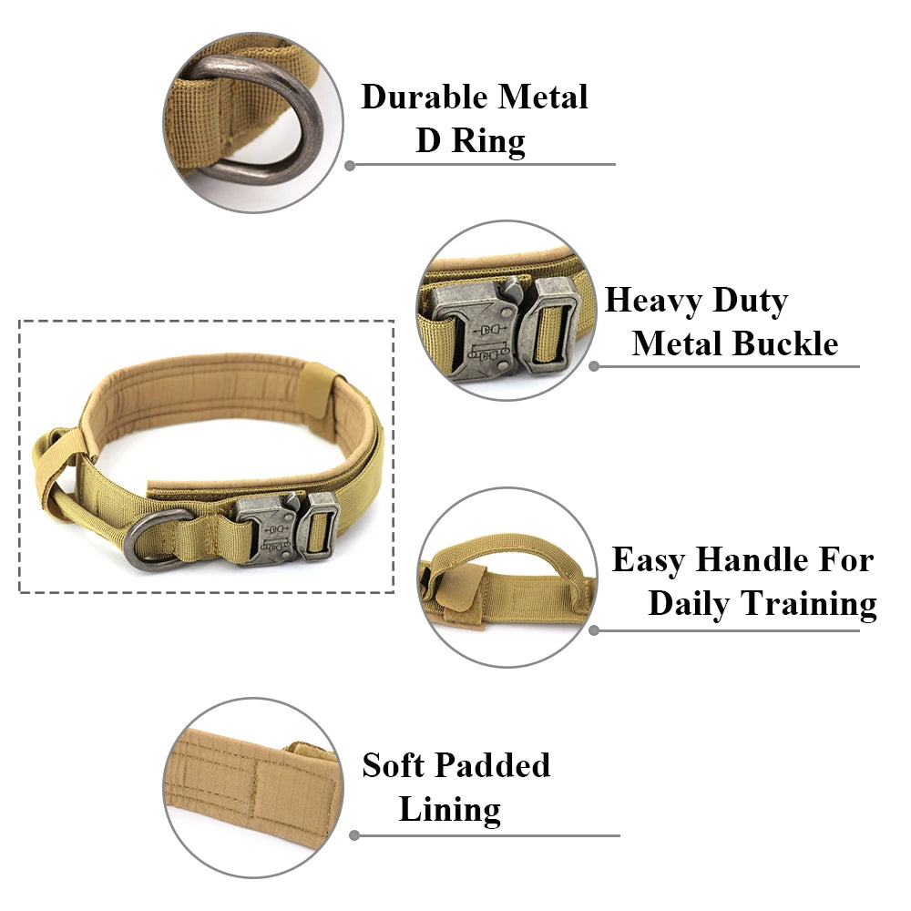 Dog Training Collar & Leash Set