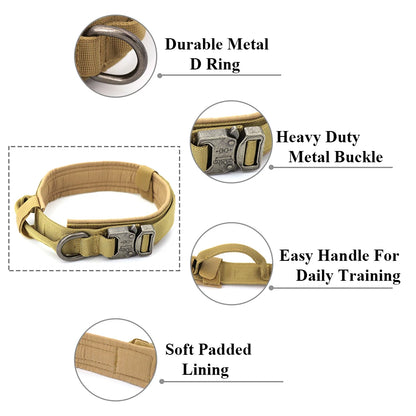 Dog Training Collar & Leash Set