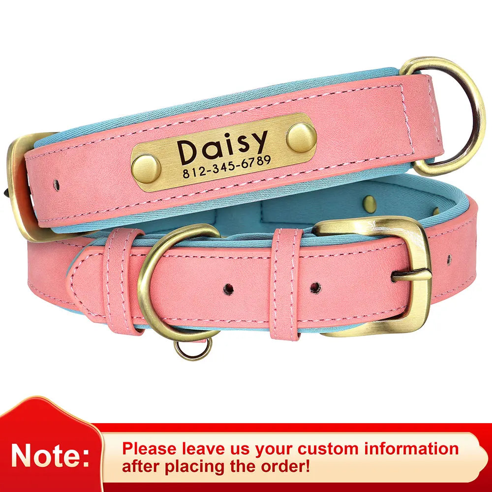 Personalized Dog Collar • Engraved Nameplate