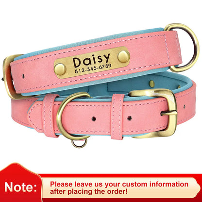 Personalized Dog Collar • Engraved Nameplate