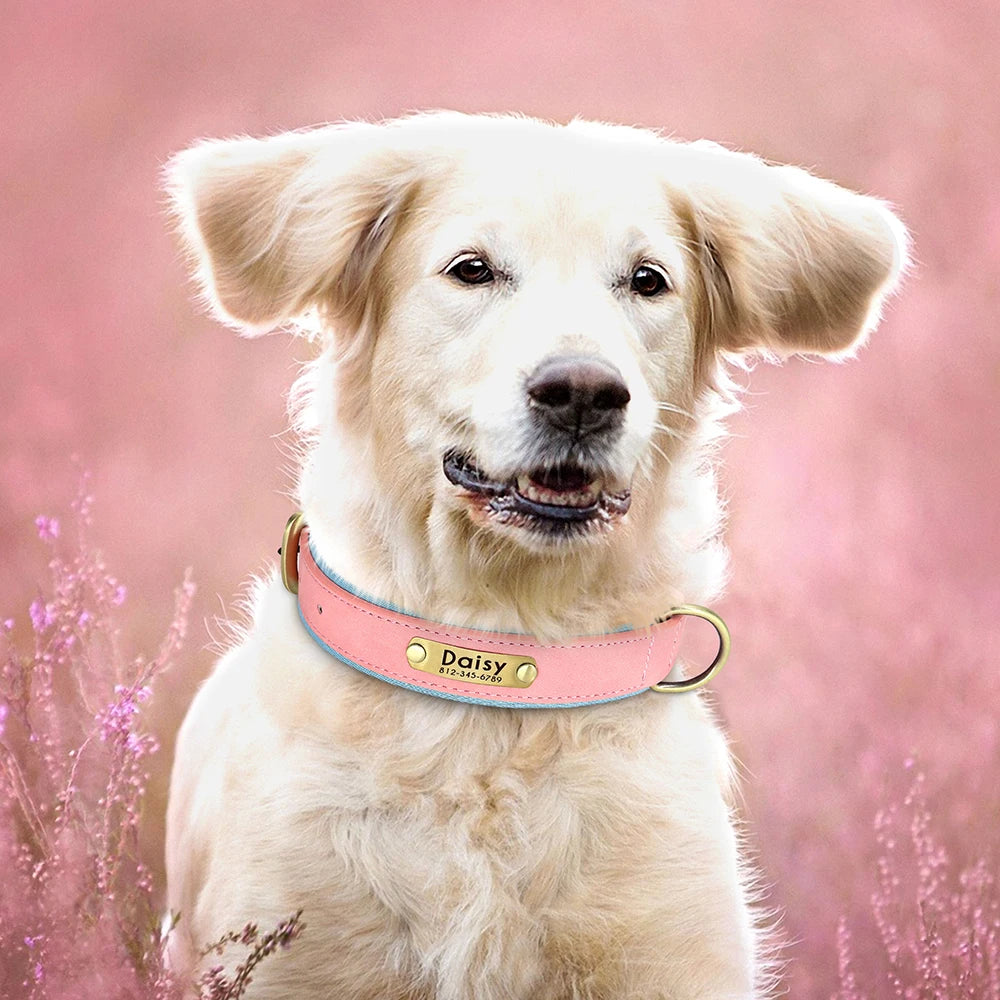 Personalized Dog Collar • Engraved Nameplate
