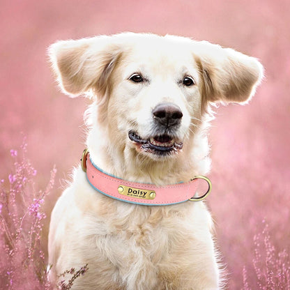 Personalized Dog Collar • Engraved Nameplate