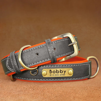 Personalized Dog Collar • Engraved Nameplate
