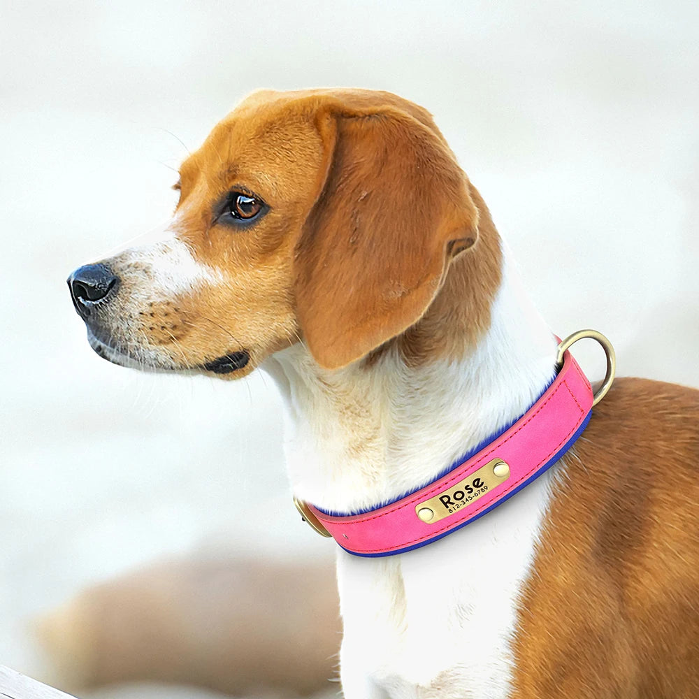 Personalized Dog Collar • Engraved Nameplate
