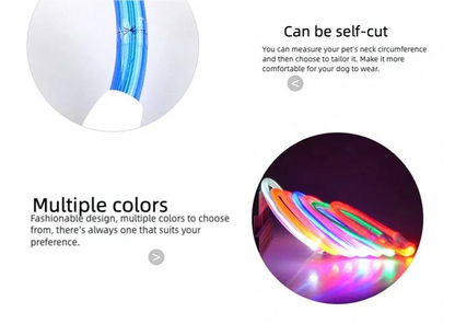 Rechargeable LED Dog Collar – Adjustable Night Safety