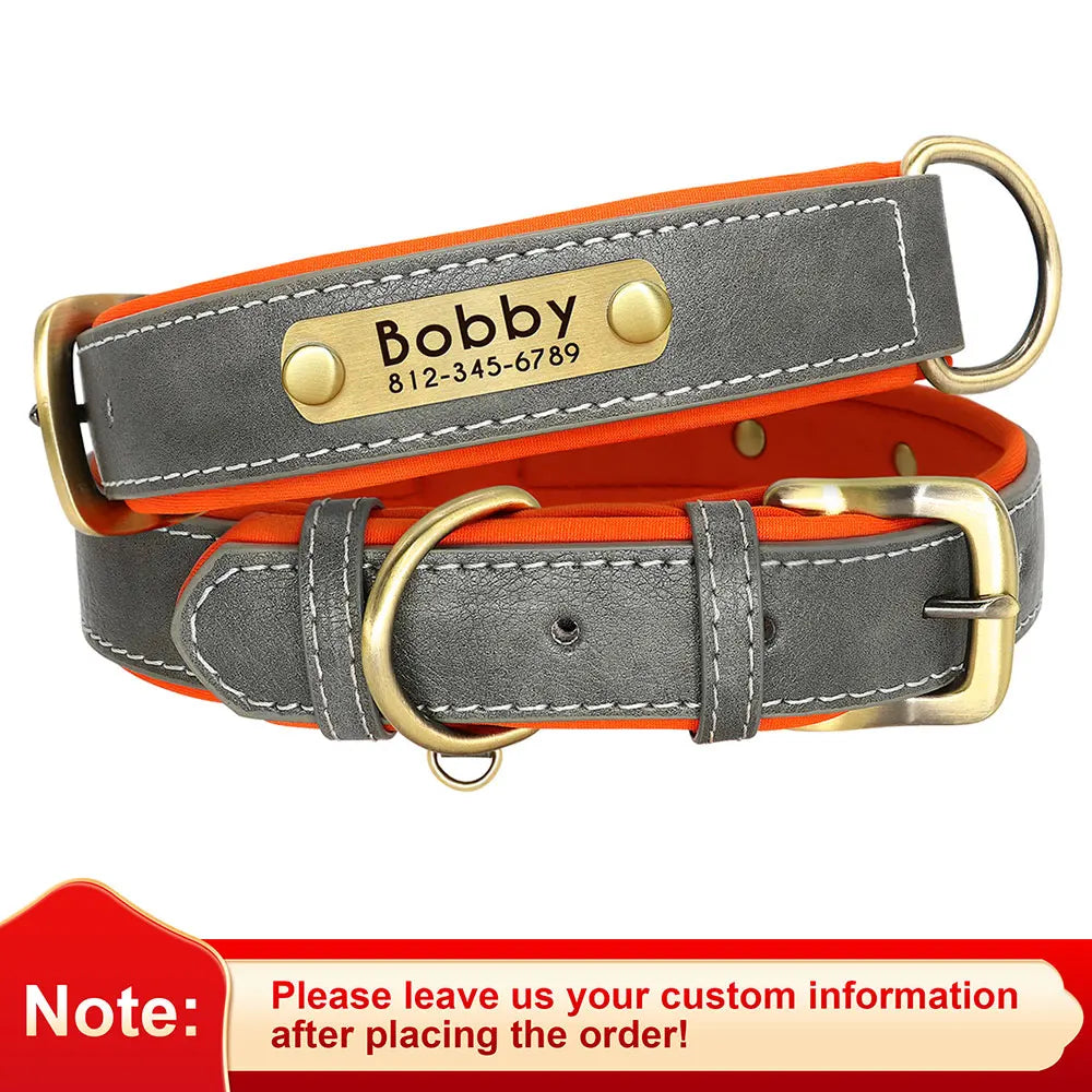 Personalized Dog Collar • Engraved Nameplate