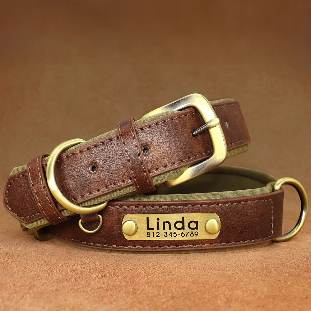 Personalized Dog Collar • Engraved Nameplate