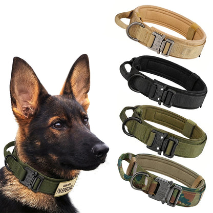 Dog Training Collar & Leash Set