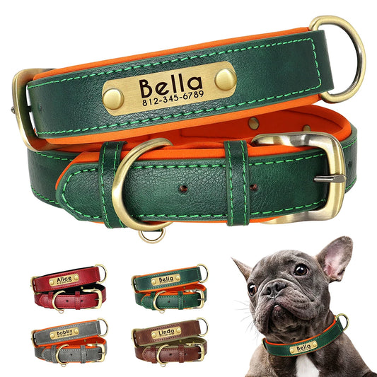 Personalized Dog Collar • Engraved Nameplate