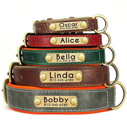 Personalized Dog Collar • Engraved Nameplate