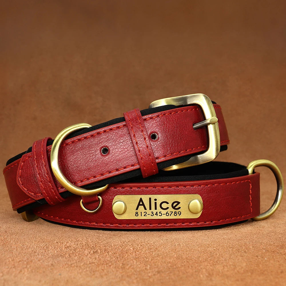 Personalized Dog Collar • Engraved Nameplate