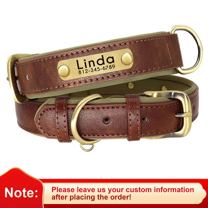 Personalized Dog Collar • Engraved Nameplate