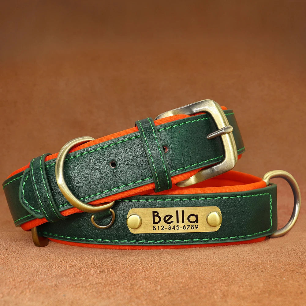 Personalized Dog Collar • Engraved Nameplate
