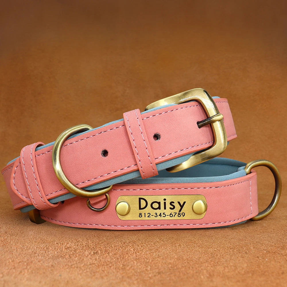 Personalized Dog Collar • Engraved Nameplate