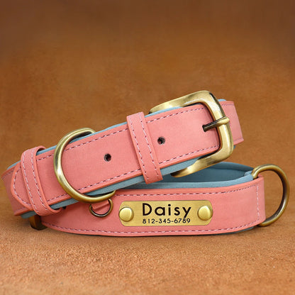 Personalized Dog Collar • Engraved Nameplate