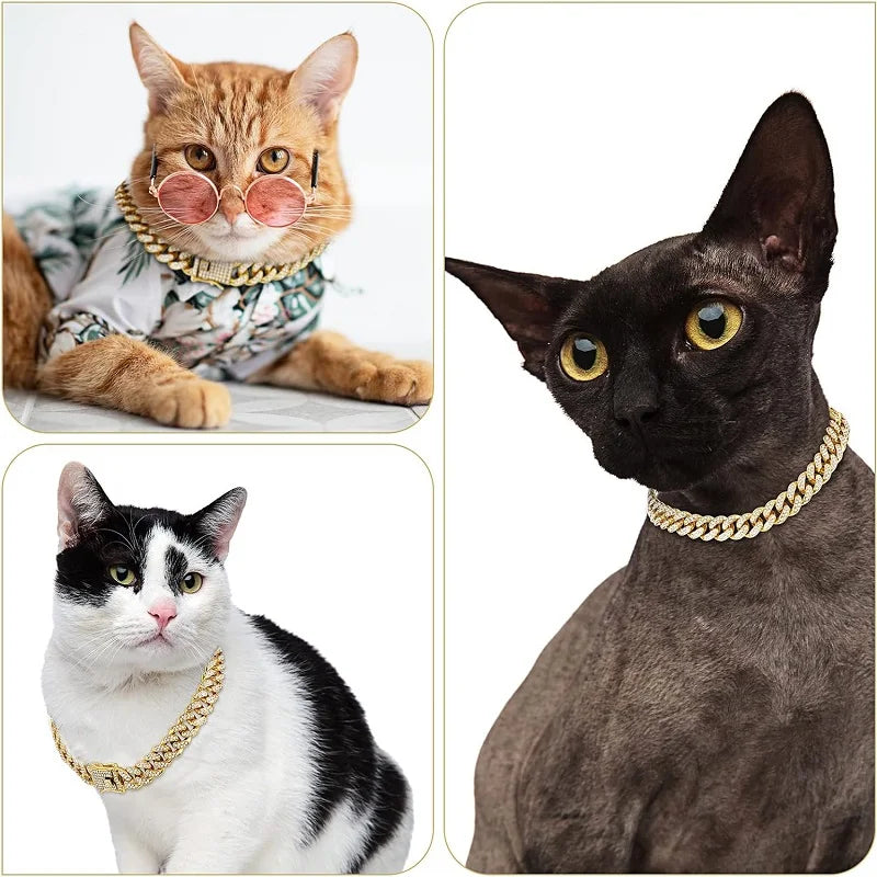 Gold Chain Collar for Pets