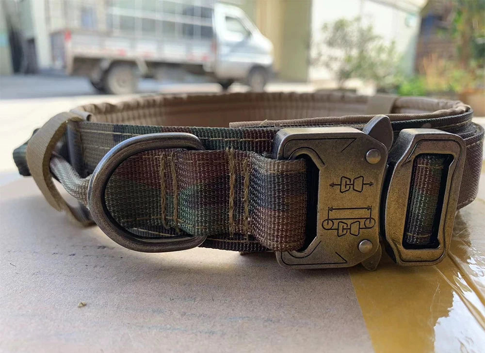 Dog Training Collar & Leash Set