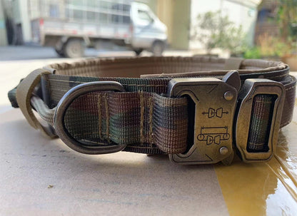 Dog Training Collar & Leash Set