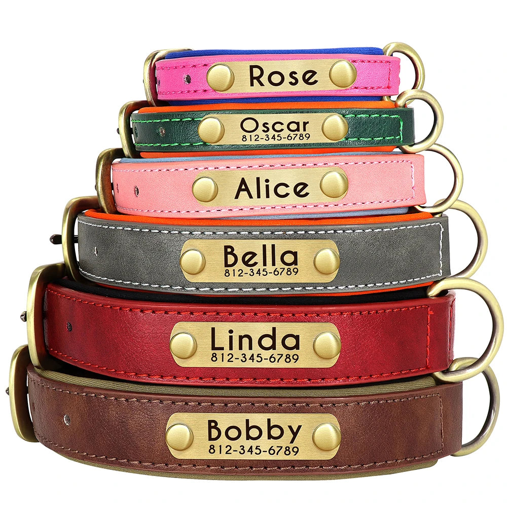 Personalized Dog Collar • Engraved Nameplate