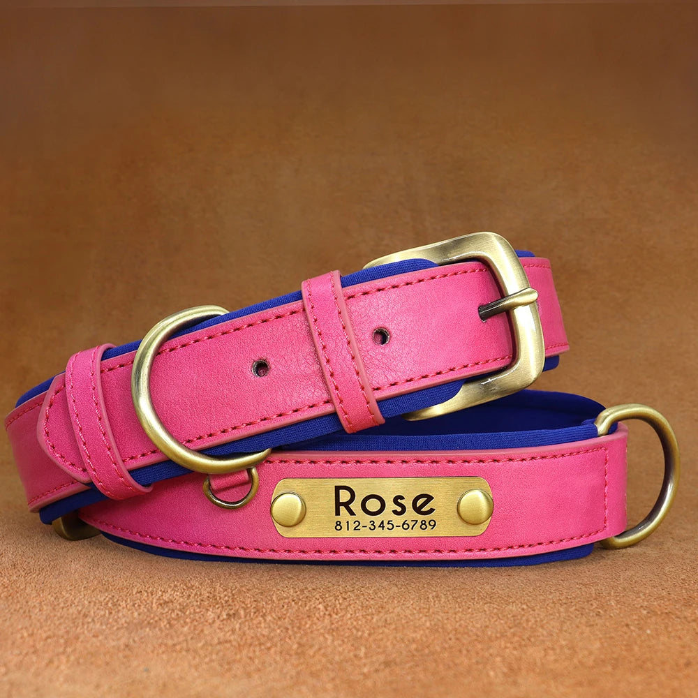 Personalized Dog Collar • Engraved Nameplate