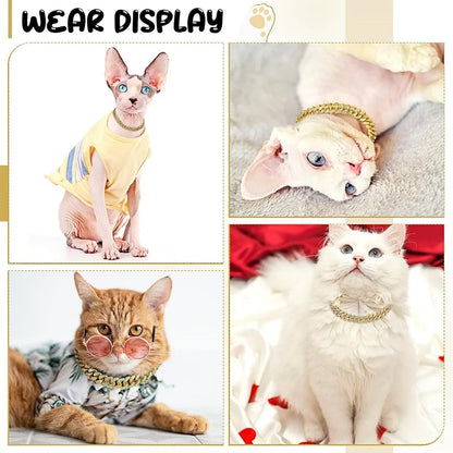 Gold Chain Collar for Pets