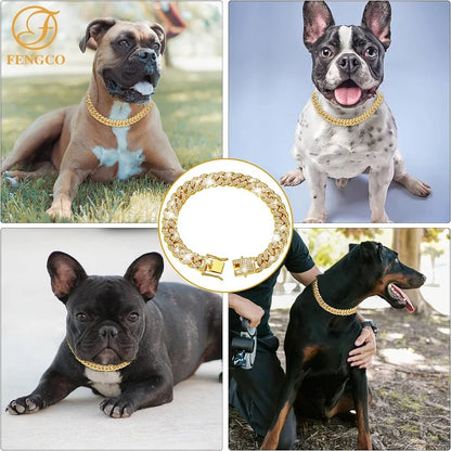 Gold Chain Collar for Pets