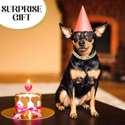 Gold Chain Collar for Pets