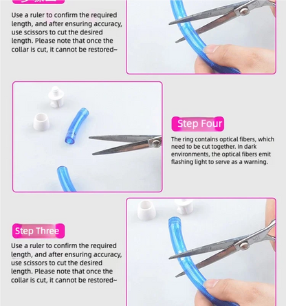 Rechargeable LED Dog Collar – Adjustable Night Safety