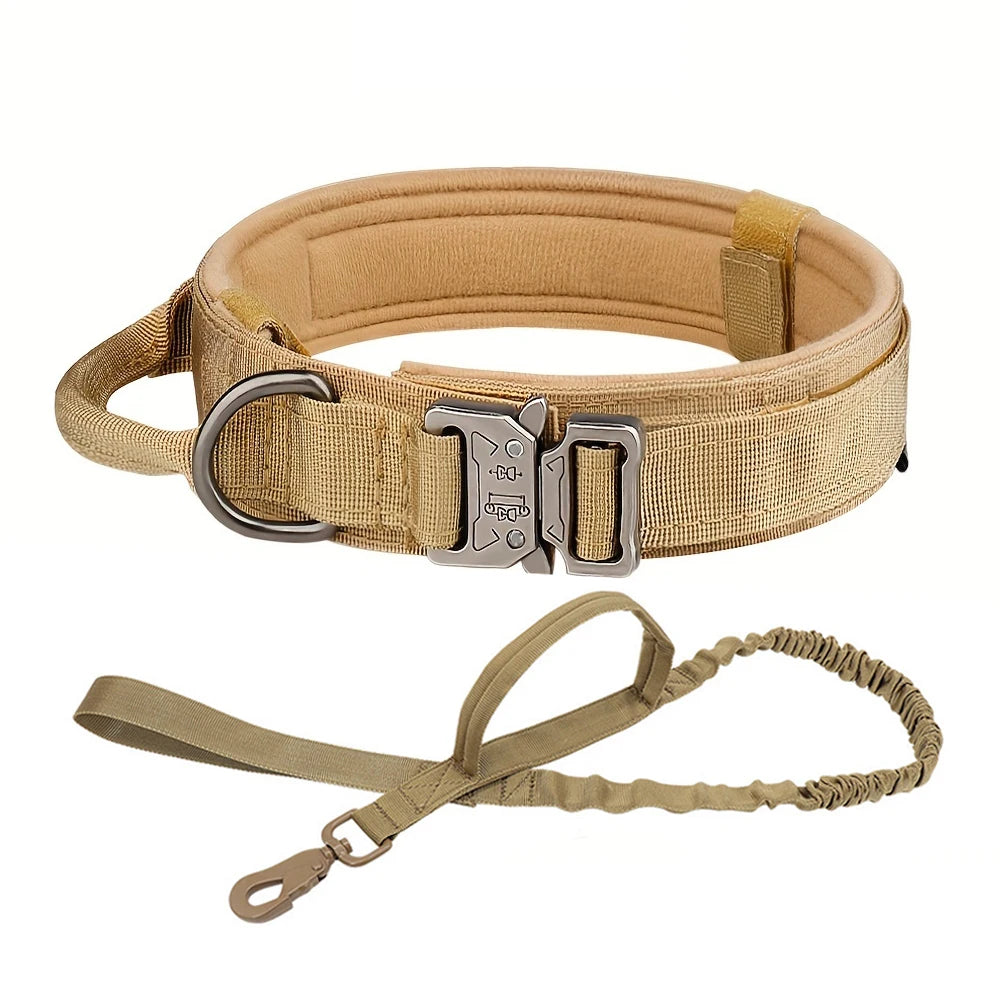Dog Training Collar & Leash Set