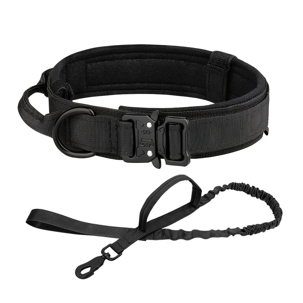 Dog Training Collar & Leash Set
