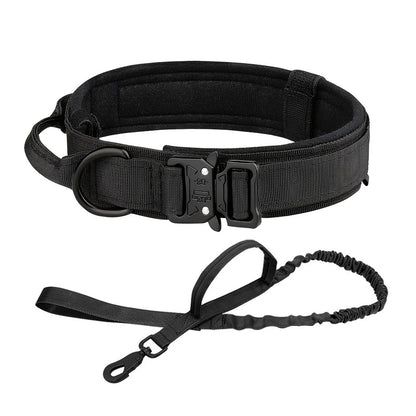 Dog Training Collar & Leash Set
