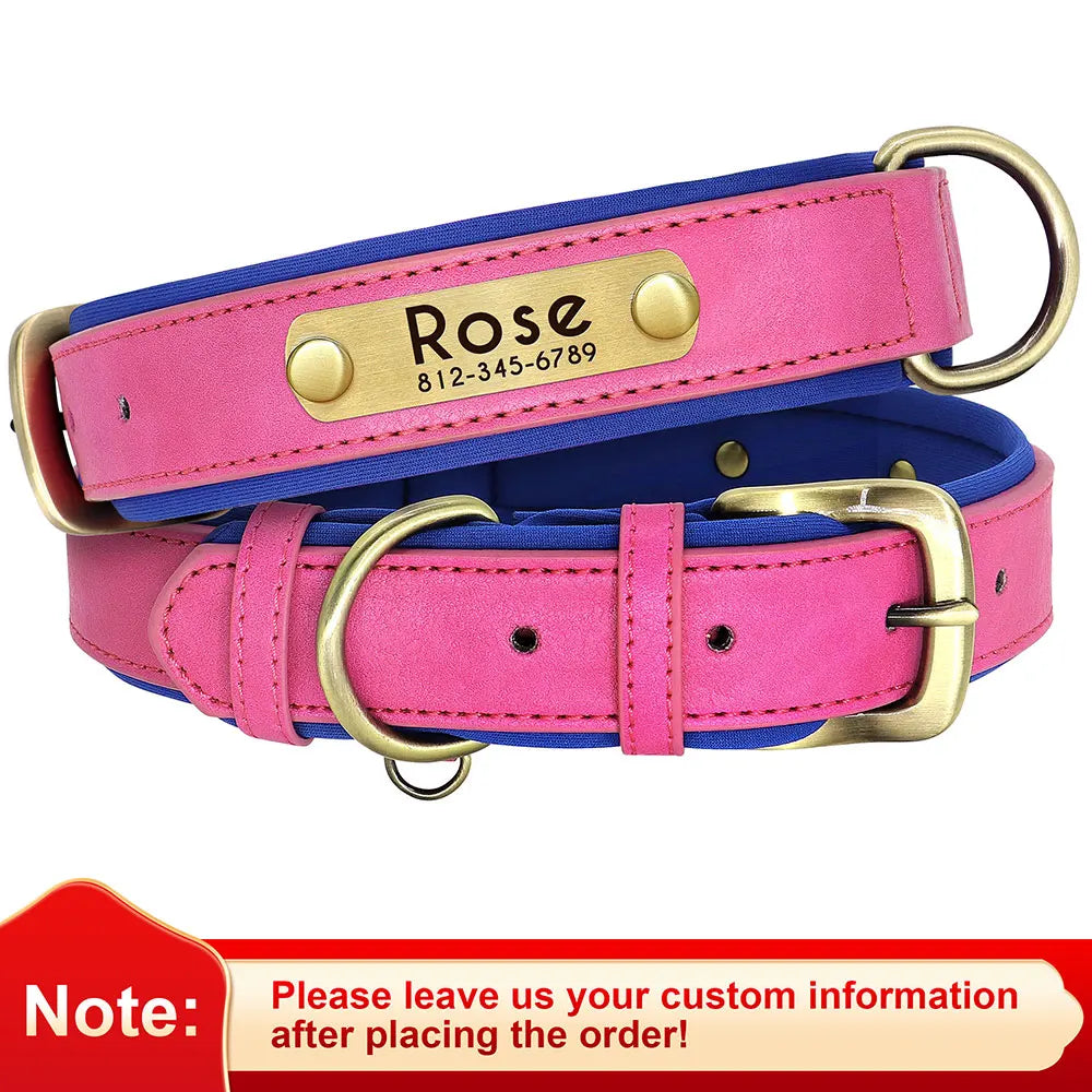 Personalized Dog Collar • Engraved Nameplate