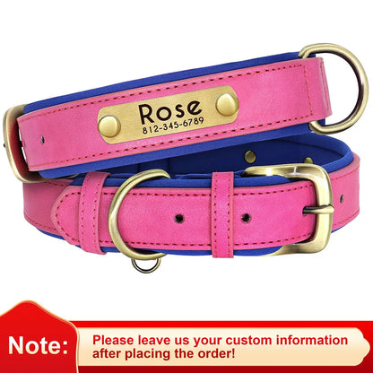Personalized Dog Collar • Engraved Nameplate