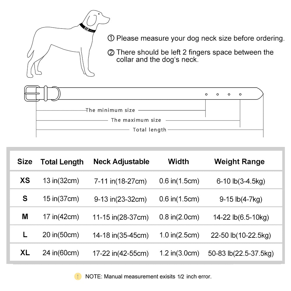 Personalized Dog Collar • Engraved Nameplate