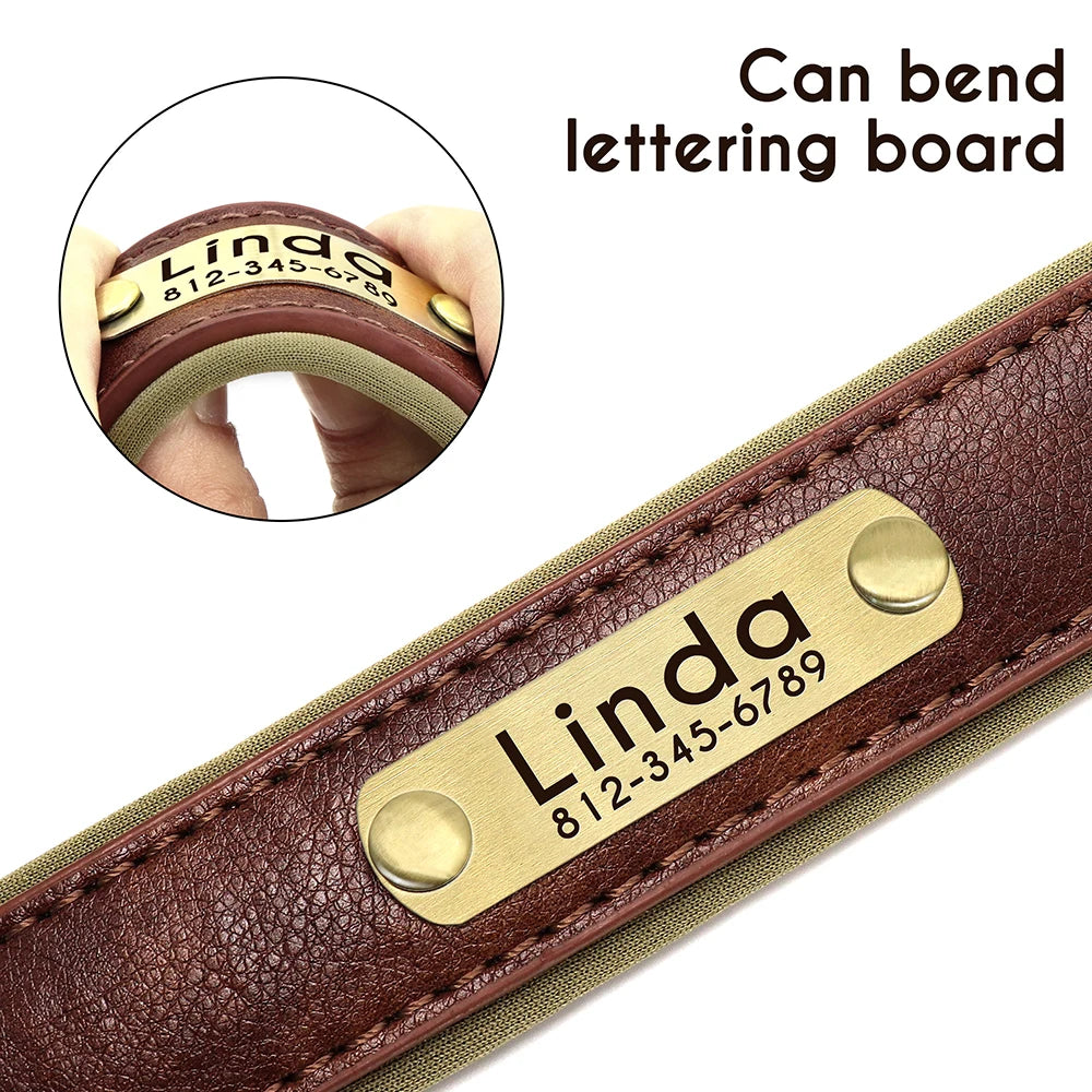 Personalized Dog Collar • Engraved Nameplate