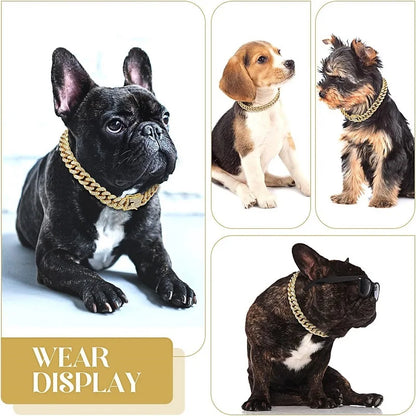 Gold Chain Collar for Pets