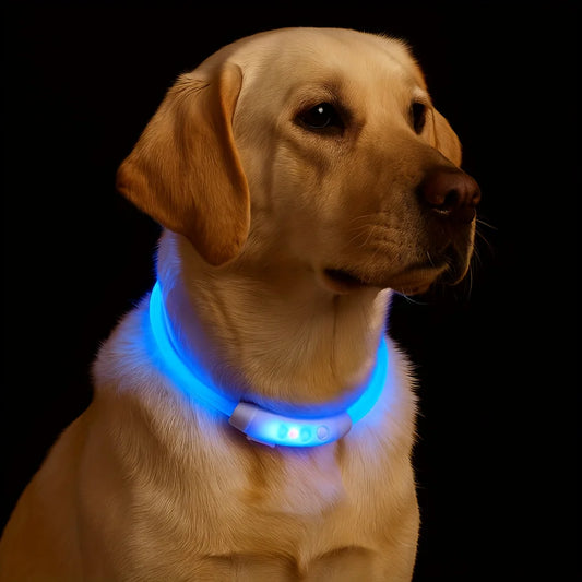 Rechargeable LED Dog Collar – Adjustable Night Safety