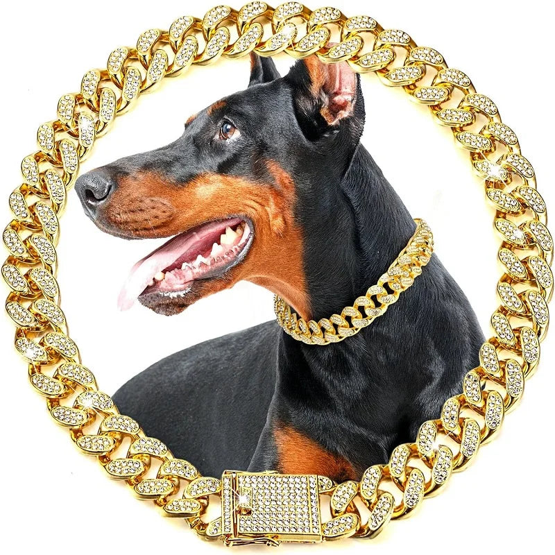 Gold Chain Collar for Pets