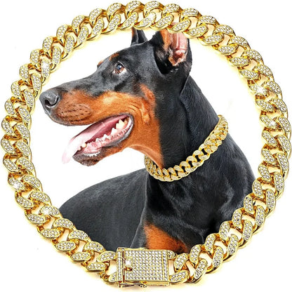Gold Chain Collar for Pets
