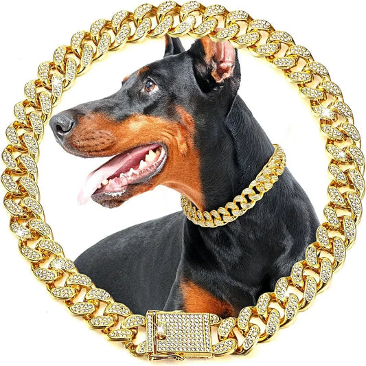 Gold Chain Collar for Pets