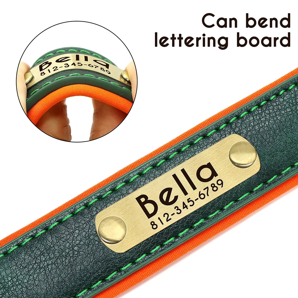 Personalized Dog Collar • Engraved Nameplate