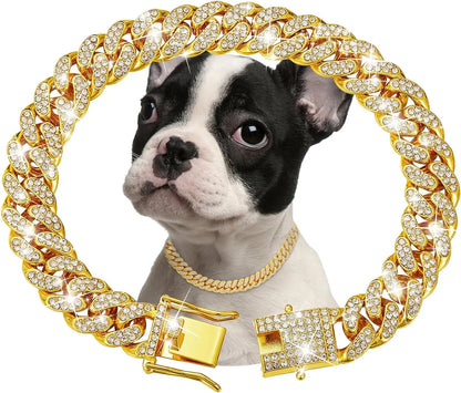 Gold Chain Collar for Pets