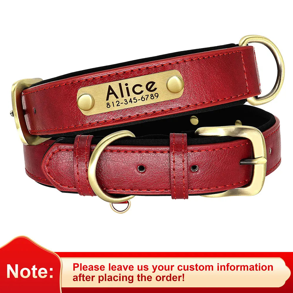 Personalized Dog Collar • Engraved Nameplate