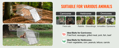 Humane Live Animal Trap – Folding Steel Cage